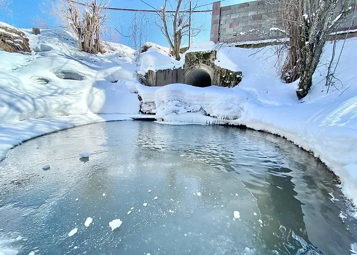 Сакский Двор
