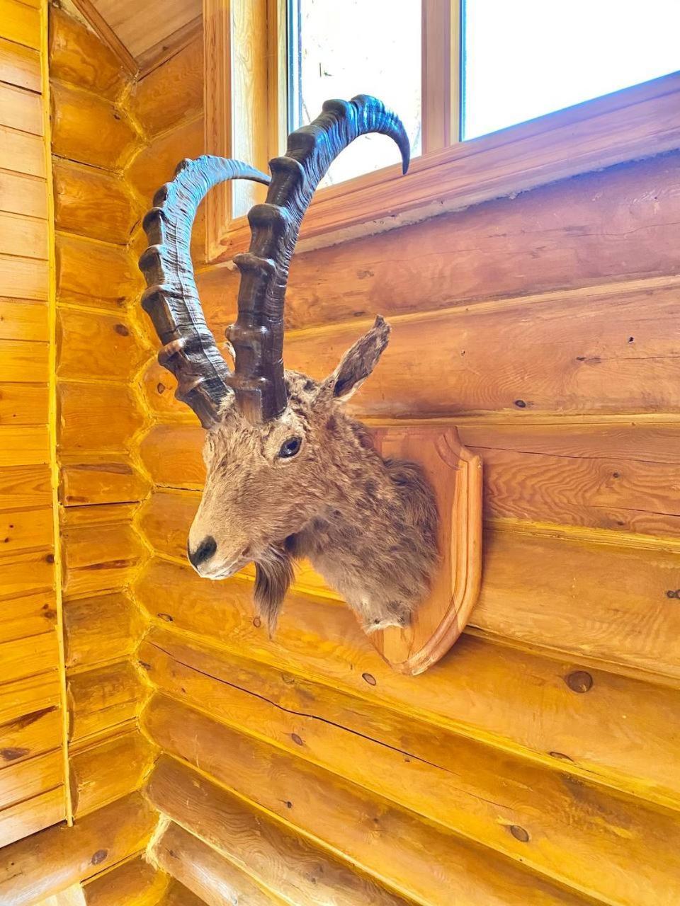 сакский двор Holiday home
